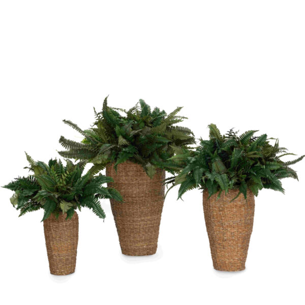 Mirabel Planter Set