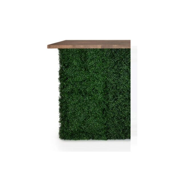 Boxwood Hedge End Column