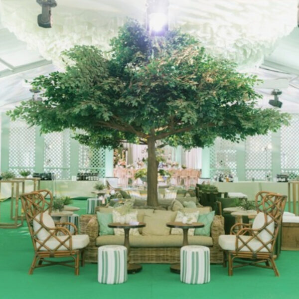 Erika Tree