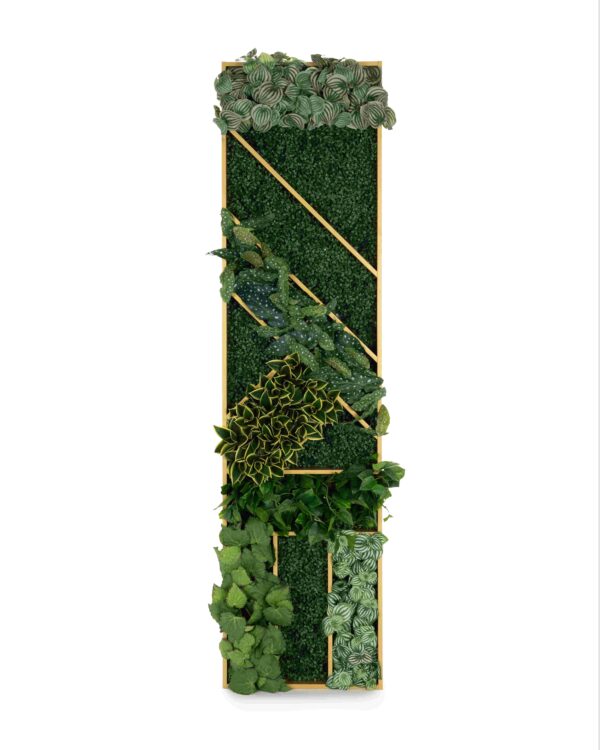 Geo Plant Panels - Image 3