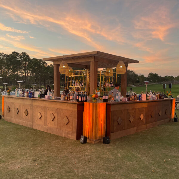Beam Canopy Bar Back 10
